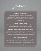 FL16 Mineral Coffee Powder